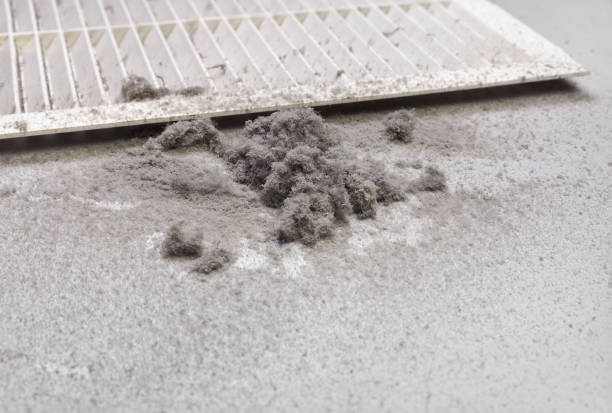 Best Air Vent Cleaning Services  in Springfield, CO