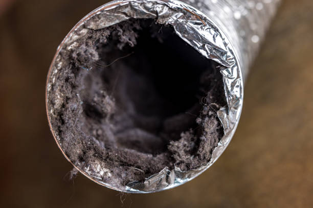 Best HVAC Air Duct Cleaning  in Springfield, CO